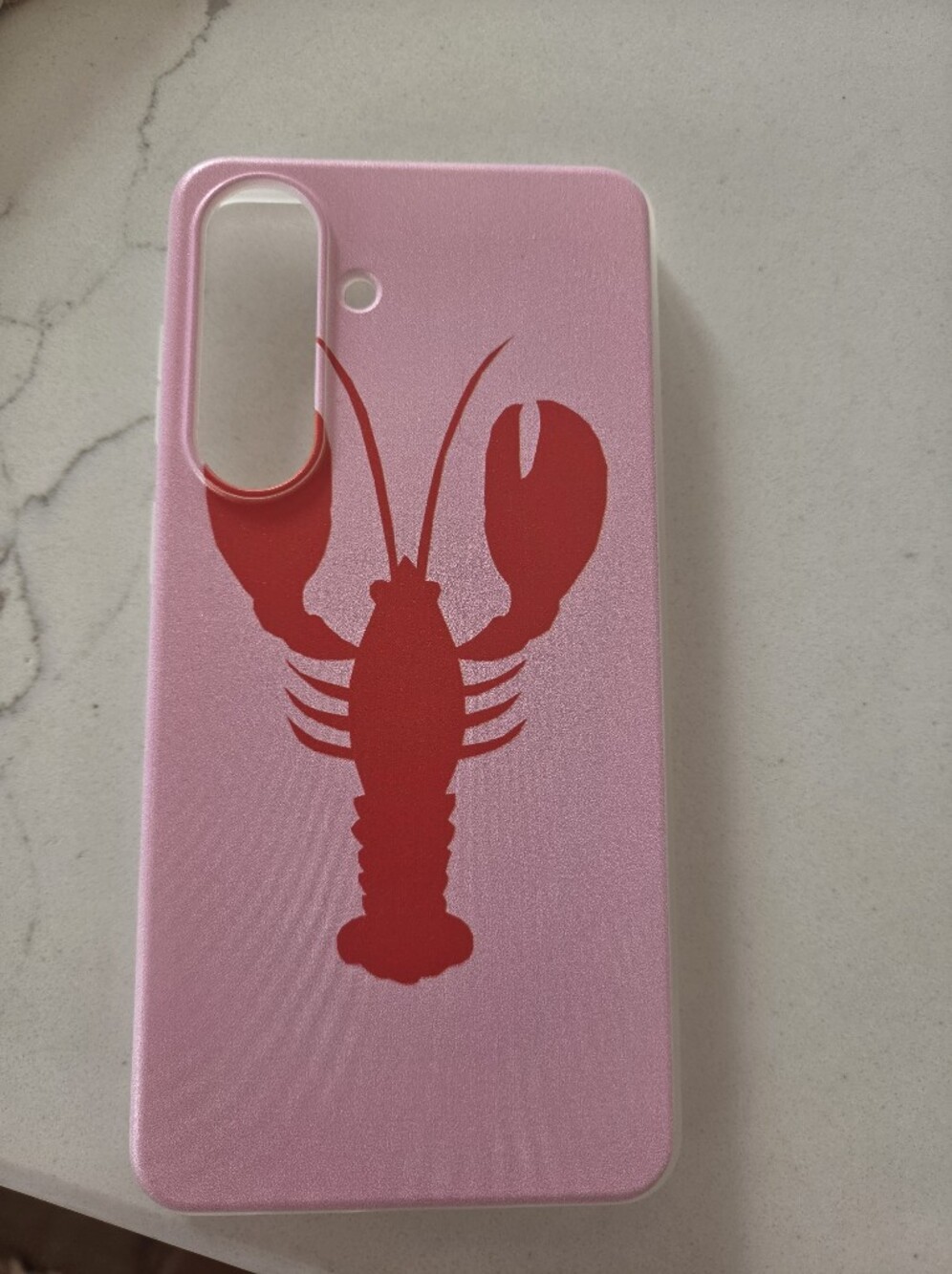 Samsung S26+ Lobster Phone Csse.